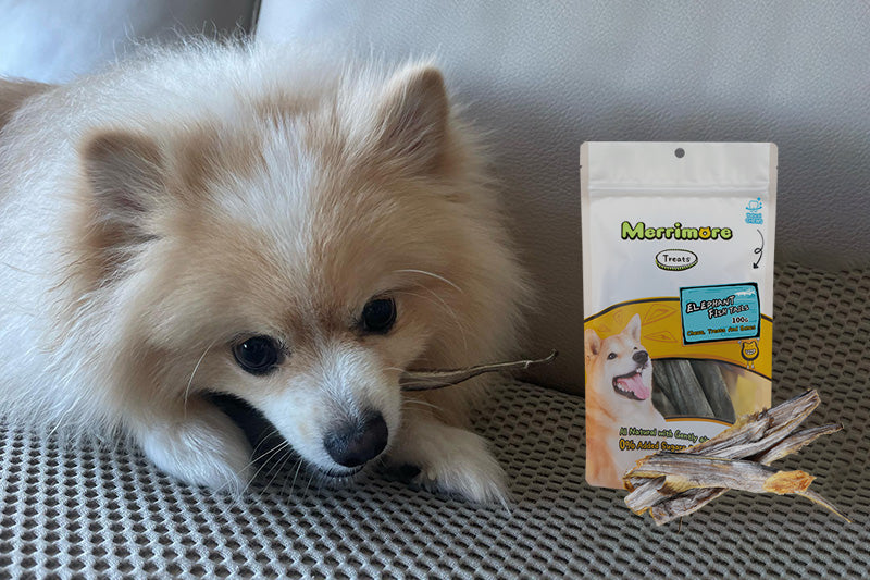 Treats for pomeranian outlet puppies