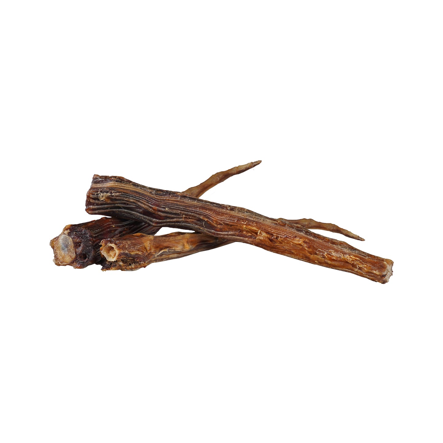小牛尾骨(平均長度18cm)