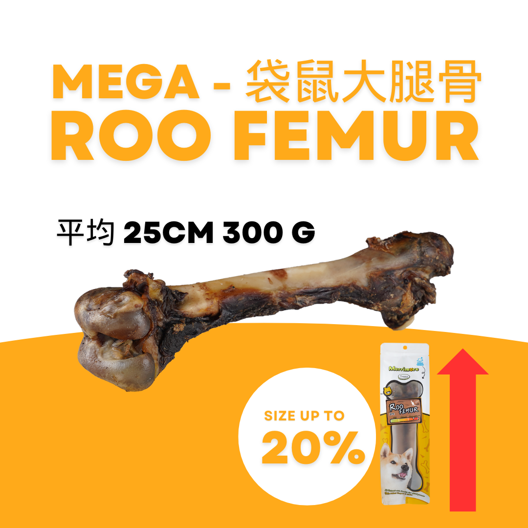 Mega Size Roo Femur